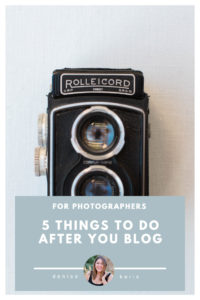denise karis photography blog 100 posts in 100 days for photographers